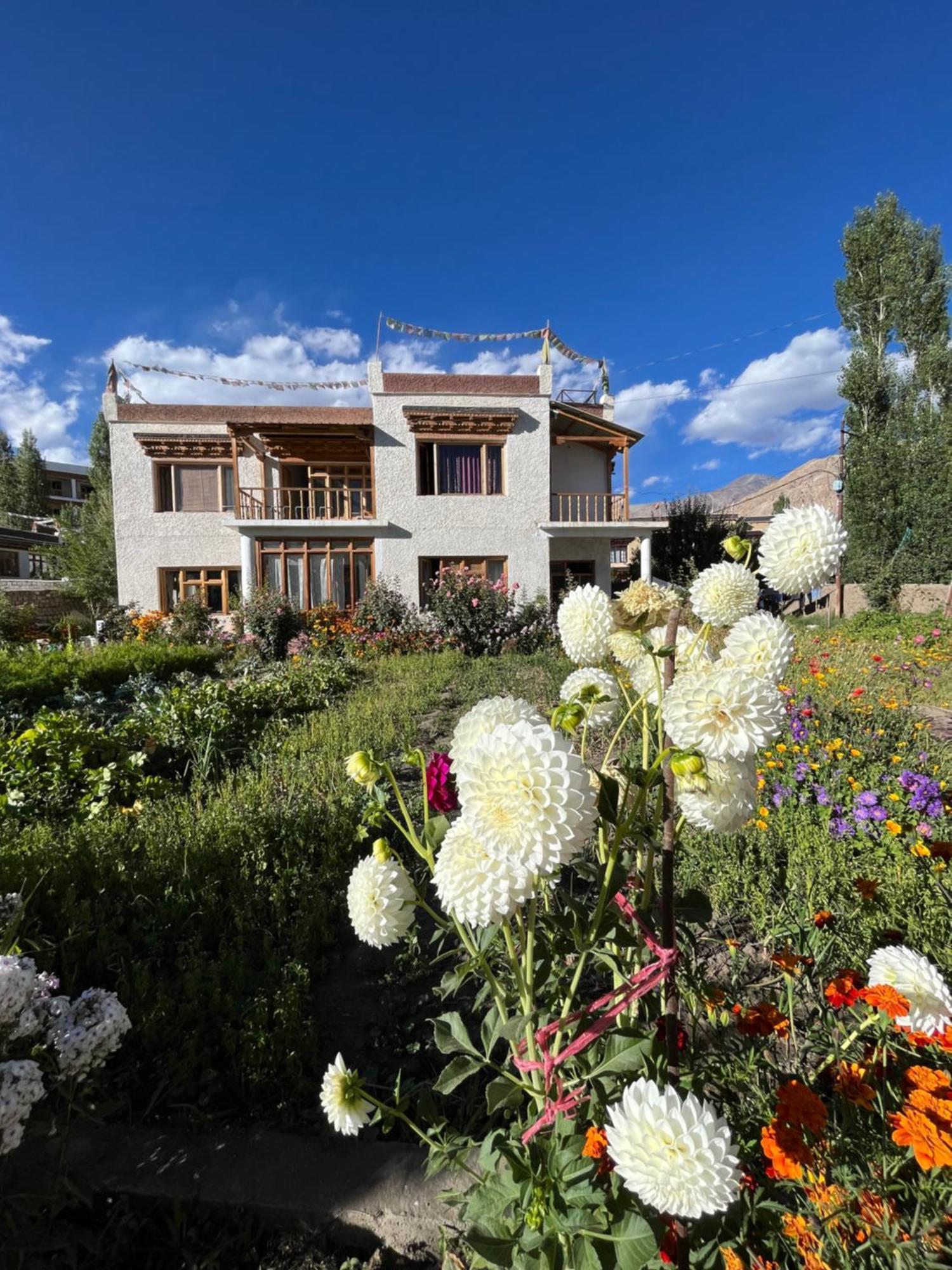 Chakzot Garden House Hotel Leh Exterior foto